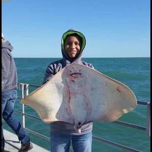 Meet your Posher, Luciano